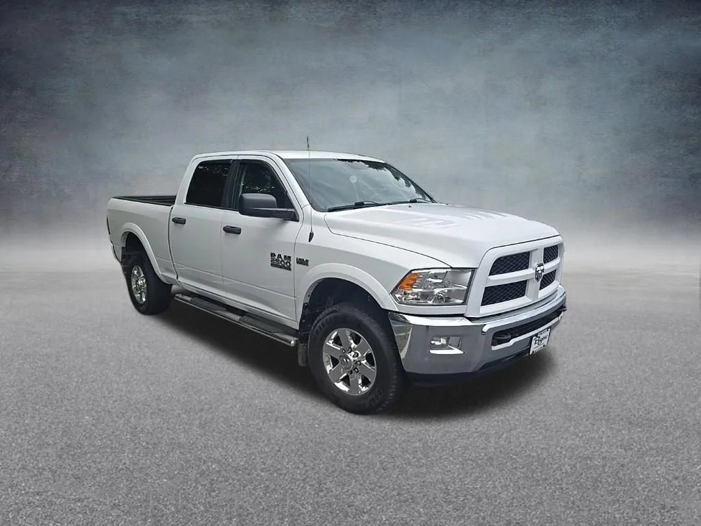 Used 2015 White Ram Outdoorsman image 2