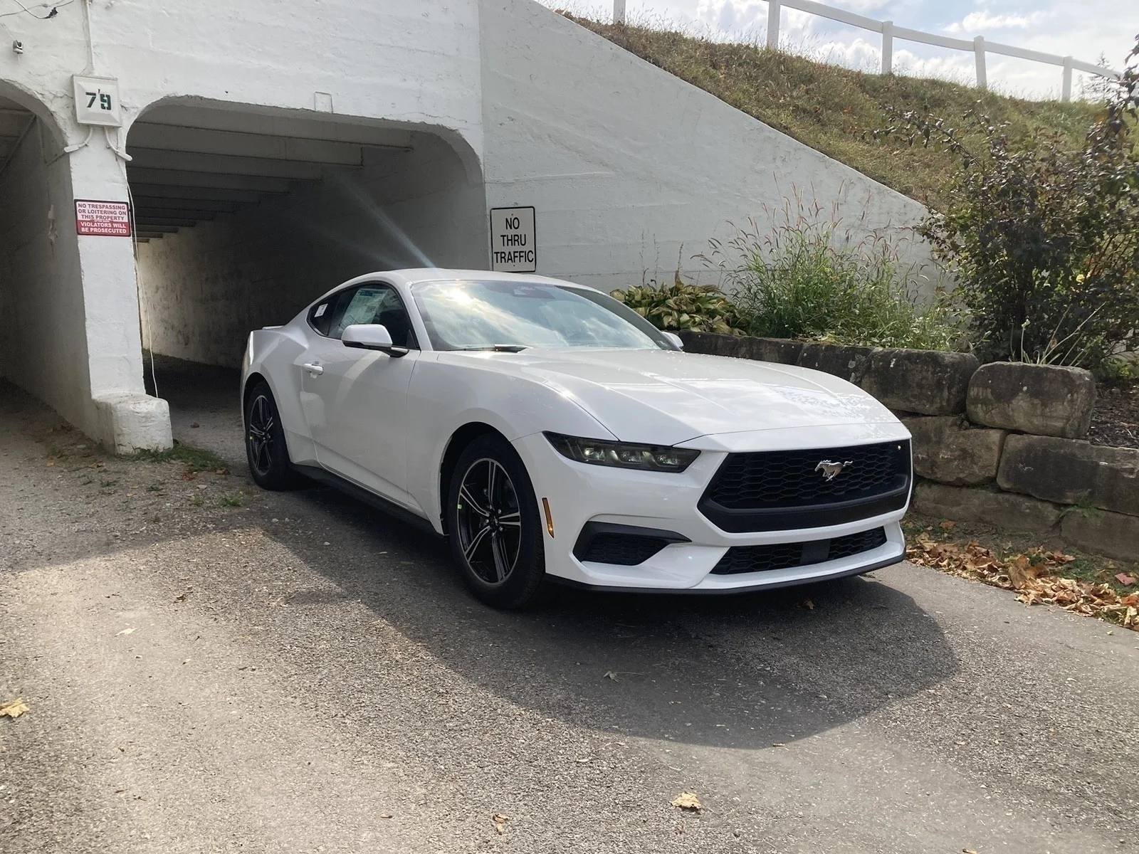 2025 Ford Mustang EcoBoost Premium Fastback - Photo 27