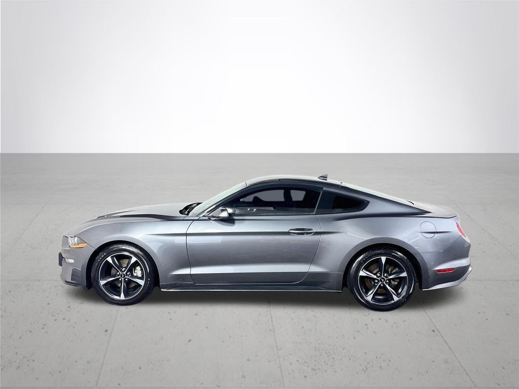 Used 2023 Gray Ford EcoBoost image 9