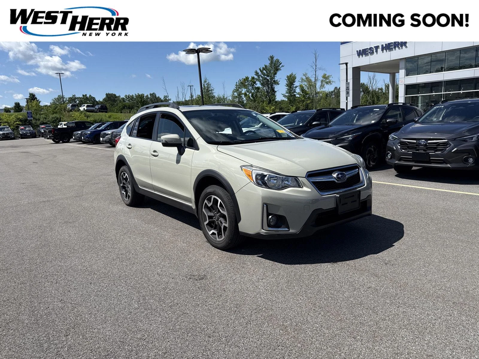 Used 2017 Desert Khaki Subaru Limited image 1