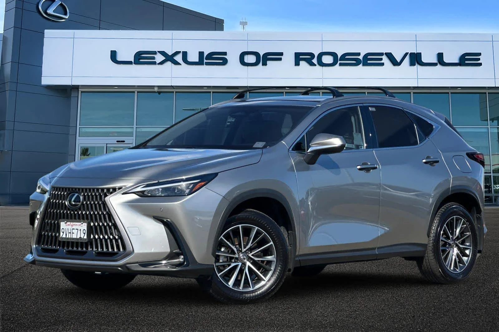 2025 Lexus NX 350h 350h AWD's photo