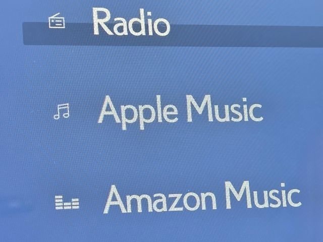 2026 Lexus RZ Base - Photo 12