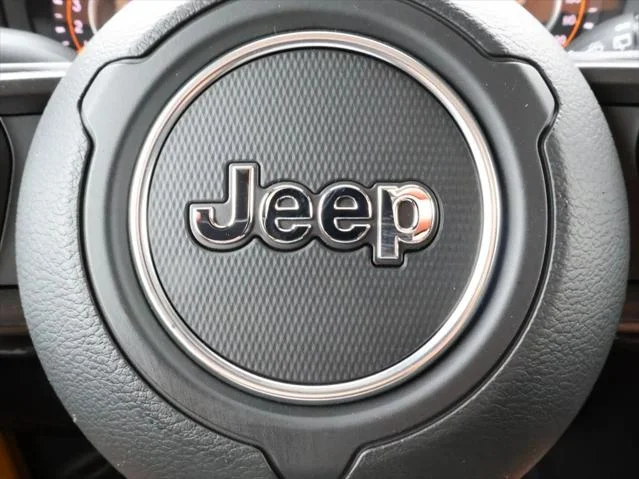 New 2026 Goldilocks Exterior Paint Jeep Willys image 21