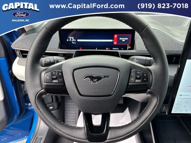 Used 2025 Blue Ford Premium image 24