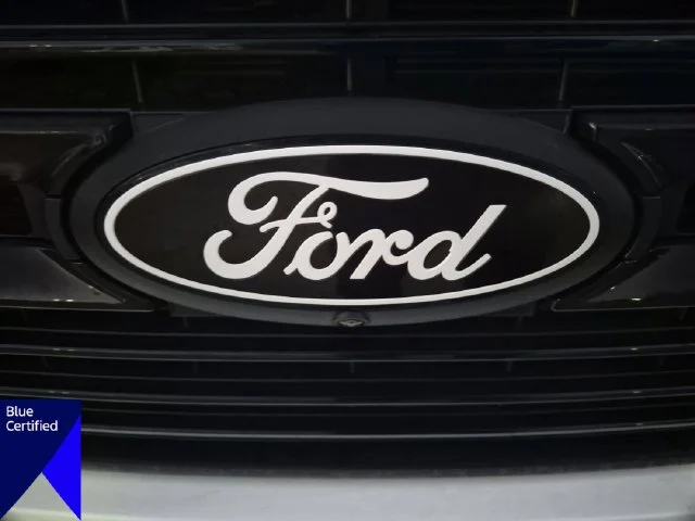 Used 2024 White Ford Platinum image 37