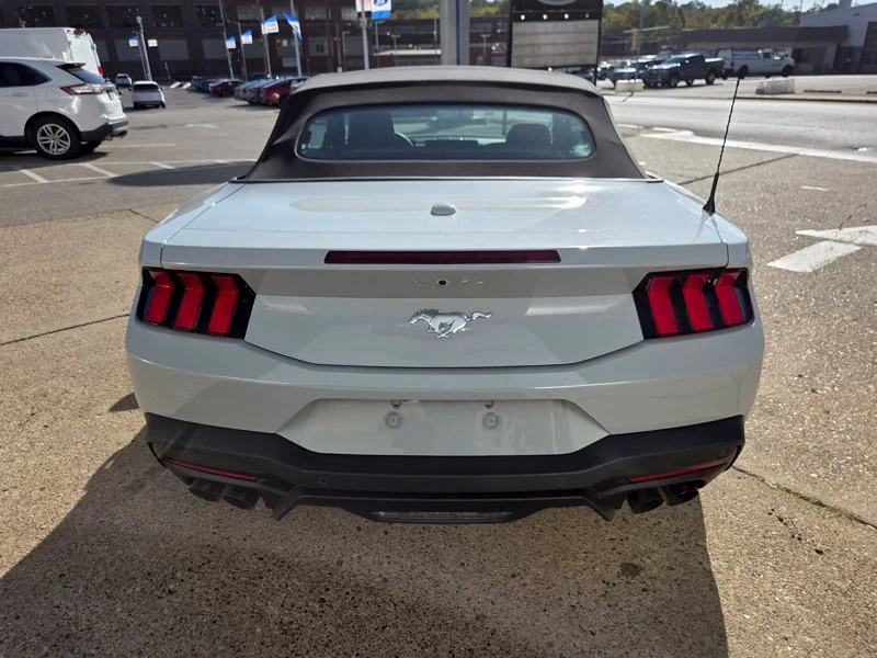 New 2026 Avalanche Gray Ford EcoBoost® Premium Convertible image 6