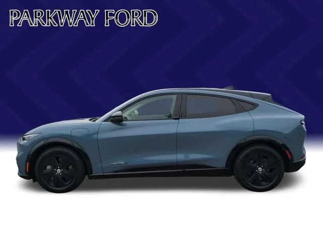 Used 2023 Blue Ford California Route 1 image 2