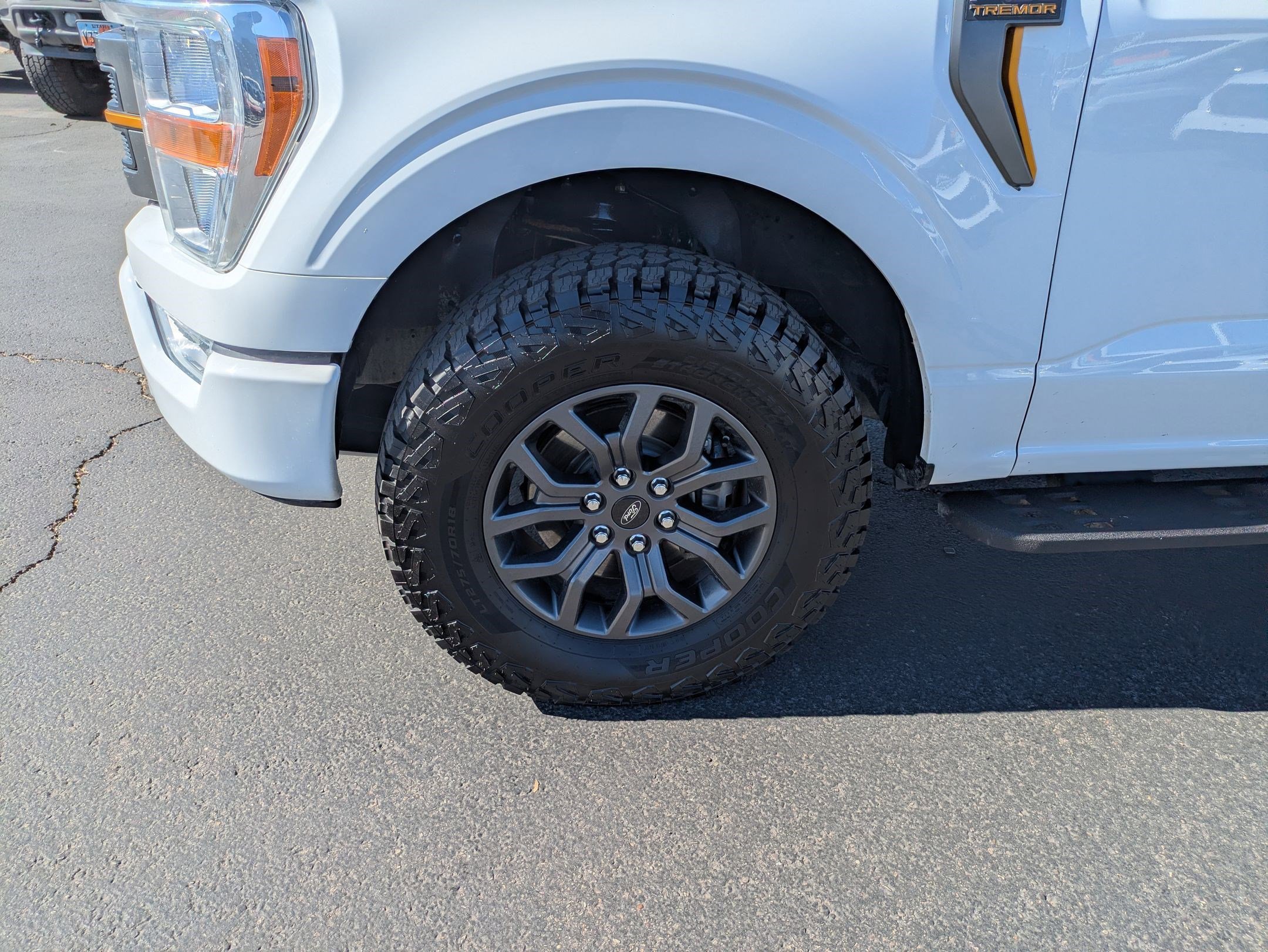2022 Ford F-150 Tremor - Photo 10