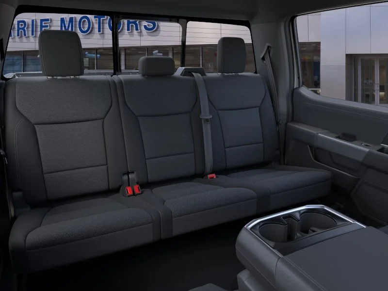 New 2026 Iconic Silver Metallic Ford LIFTED image 31
