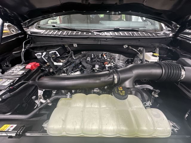 New 2027 Gray Ford Tremor image 22