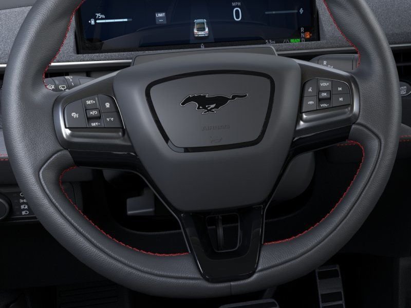 New 2026 Shadow Black Ford Premium image 13
