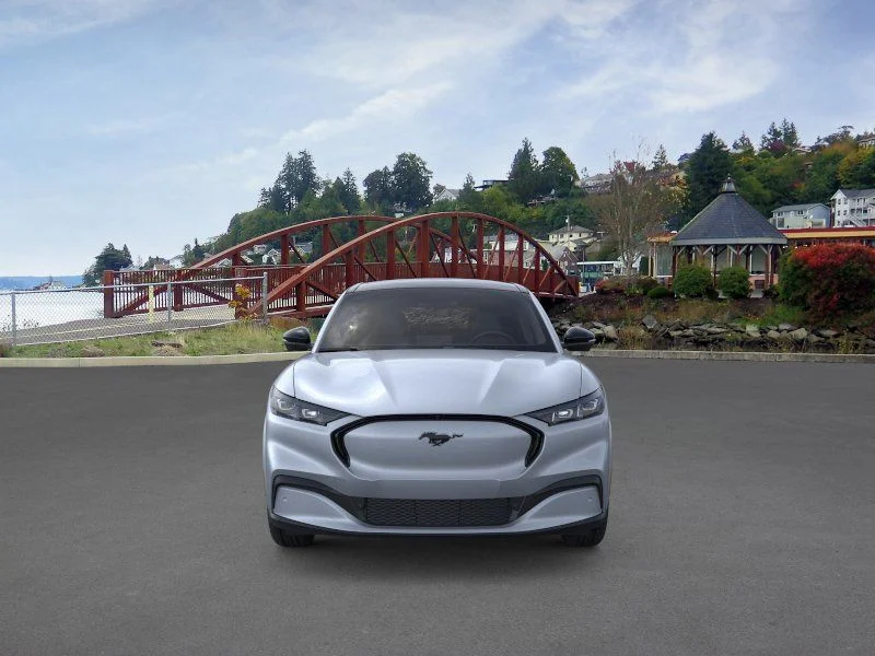 New 2026 Gray Ford Premium image 8