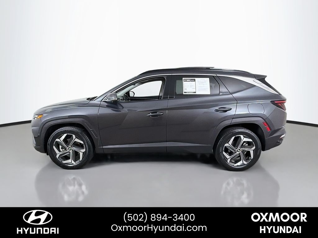 2024 Hyundai Tucson Limited - Photo 4