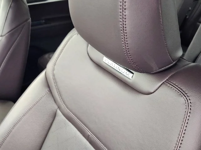 New 2027 Carbonized Gray Metallic Ford Platinum™ image 15