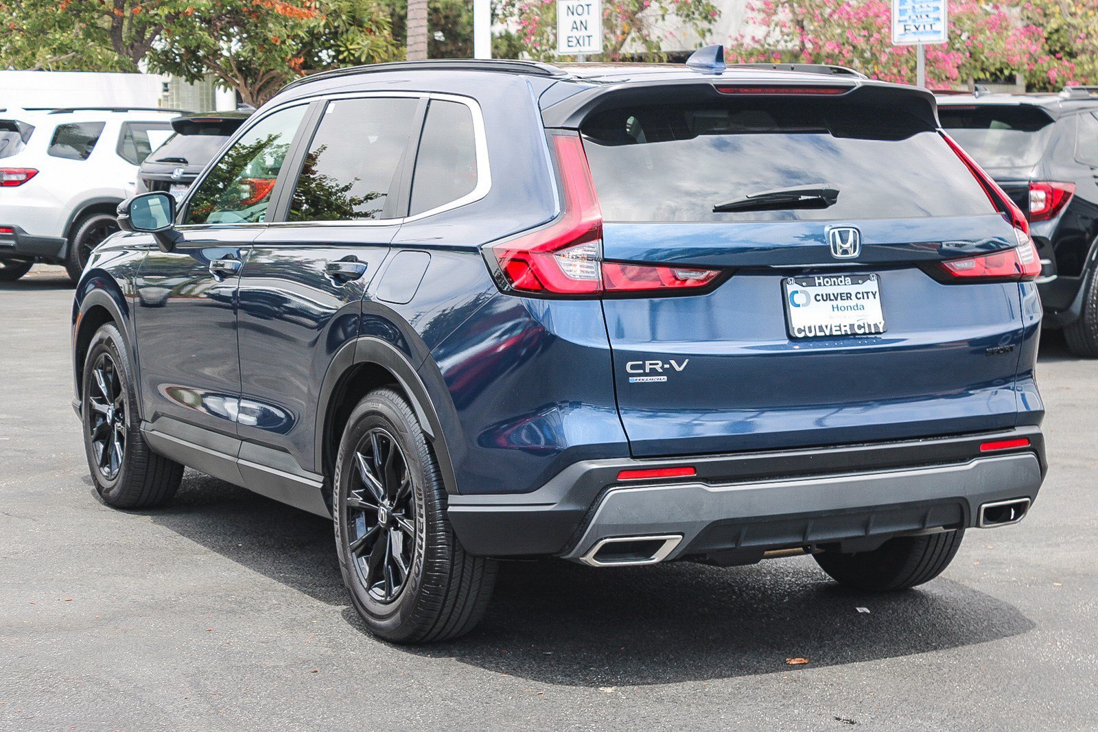 Certified Used 2025 Canyon River Blue Metallic Honda Sport image 6