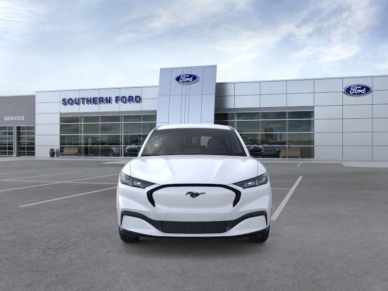 New 2025 White Ford Premium image 6