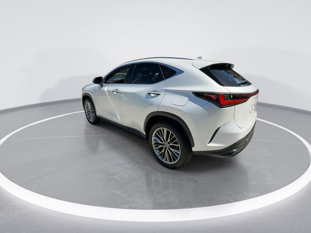 2025 Lexus NX Hybrid 350h - Photo 6