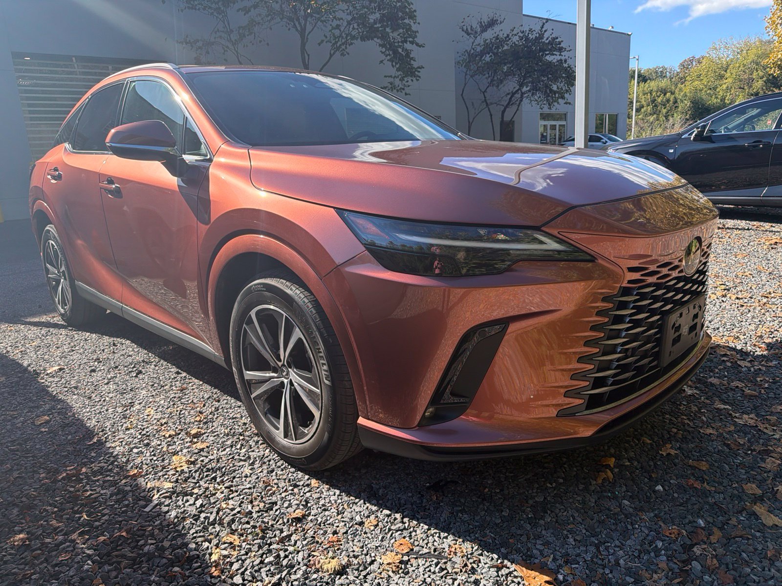 2024 Lexus RX