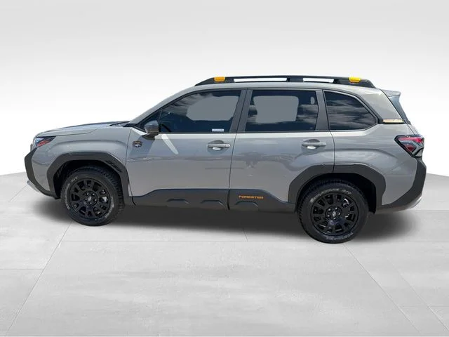 Used 2026 Beige Subaru Wilderness image 4