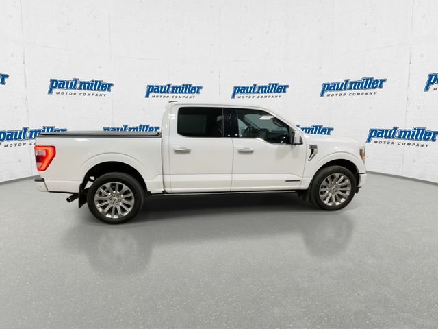Used 2023 Star White Ford Limited image 12