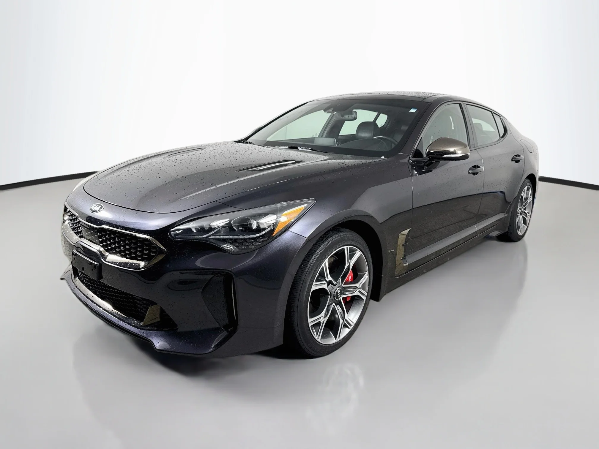 Used 2018 Panthera Metal Kia GT1 image 3
