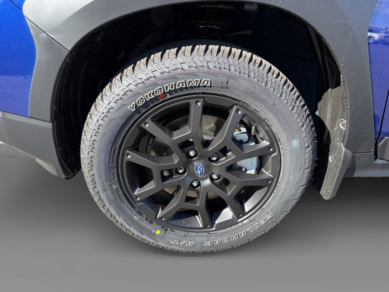 New 2026 SAPPHIRE BLUE PEARL Subaru Wilderness image 9