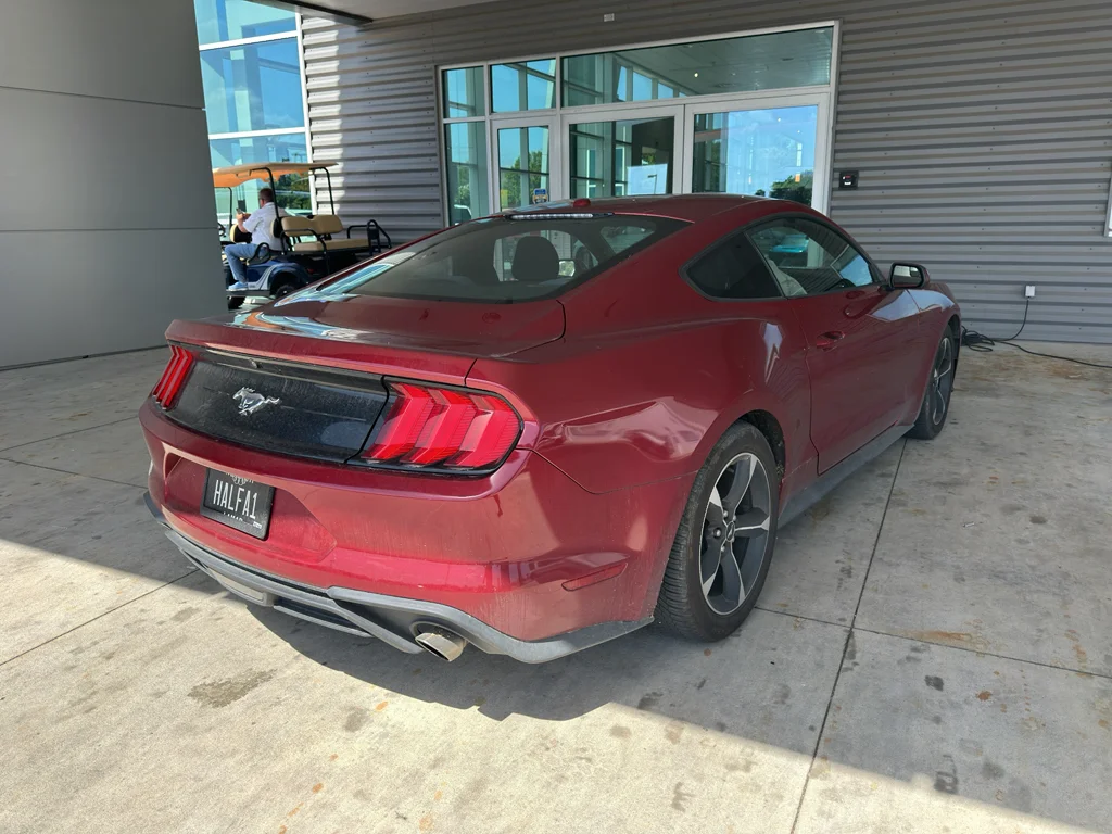 Used 2019 Ruby Red Metallic Tinted Clearcoat Ford EcoBoost image 4