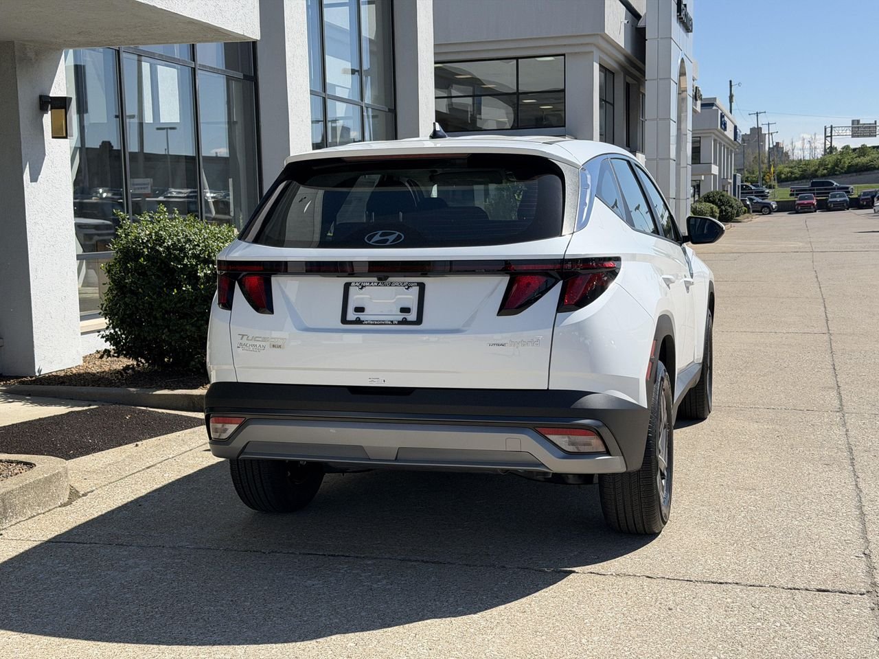 New 2026 Creamy White Pearl Hyundai Blue image 5