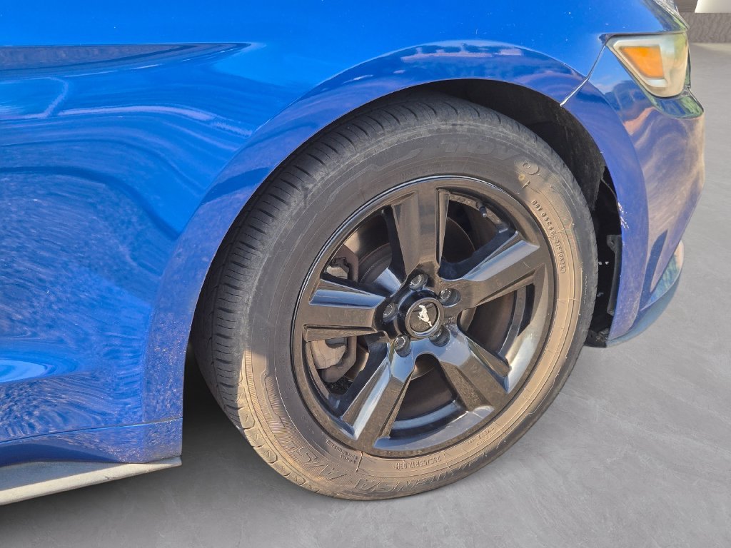 Used 2017 Blue Ford V6 image 11