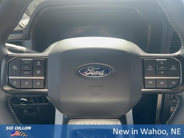 New 2026 Iconic Silver Metallic Ford Platinum image 14