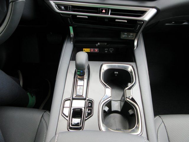 New 2026 Iridium Lexus PREMIUM image 49
