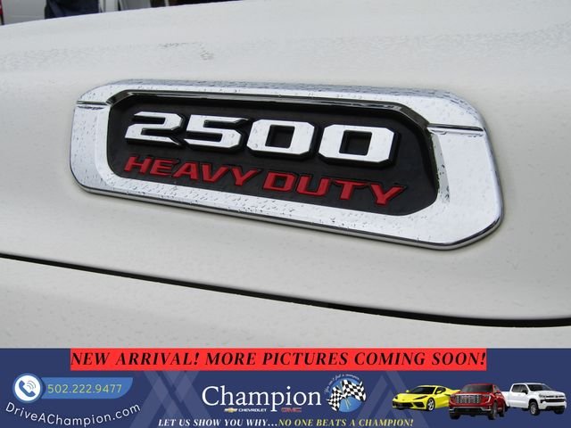 Used 2021 White Ram Longhorn image 13