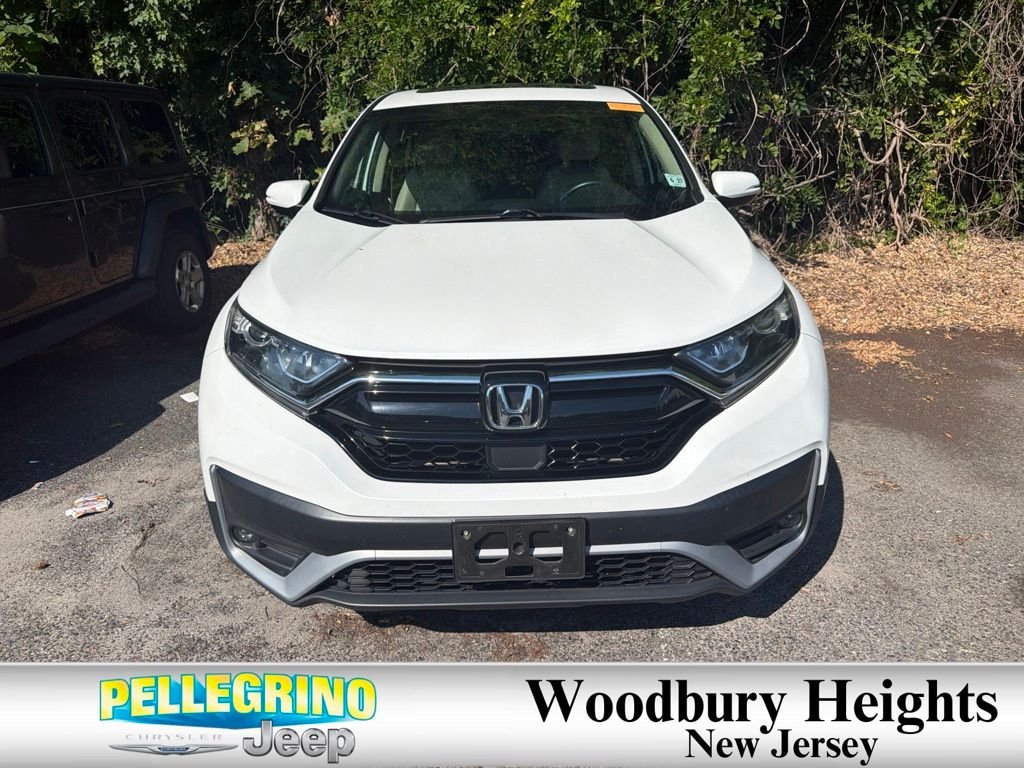 Used 2022 White Honda EX-L image 2