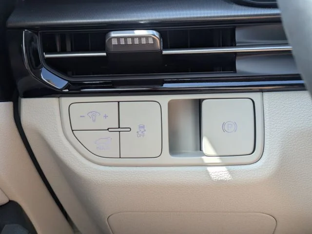 New 2026 Panthera Metal Kia EX image 25