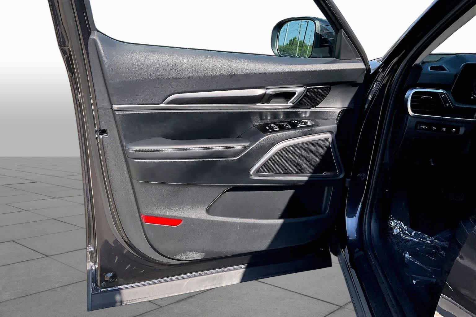 Used 2025 Panthera Metal Kia S image 21