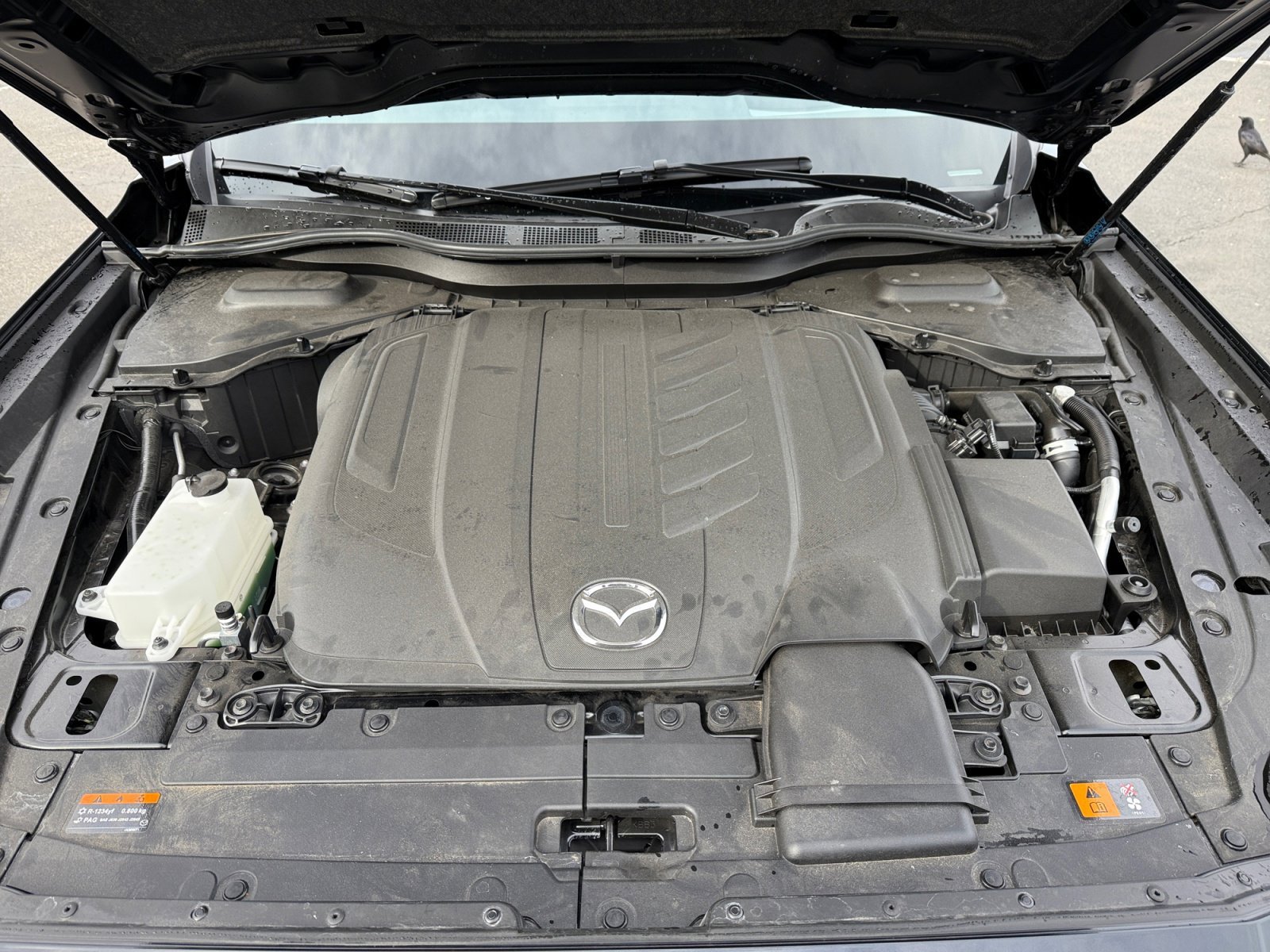 2025 Mazda CX-90 Premium Package - Photo 21