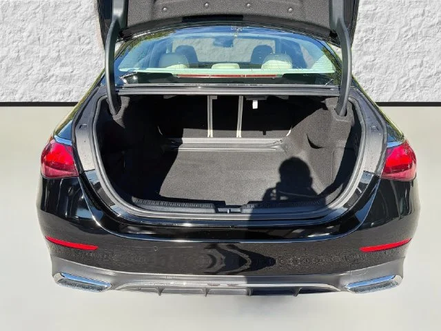 2025 Mercedes-Benz E-Class E350 - Photo 12