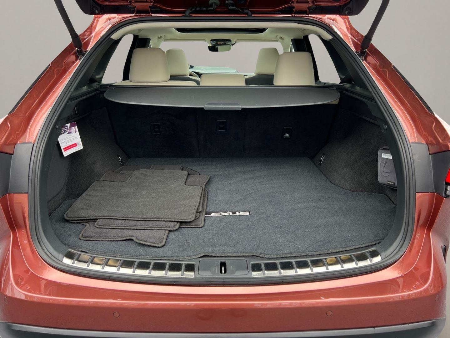 2023 Lexus RX 350 - Photo 19