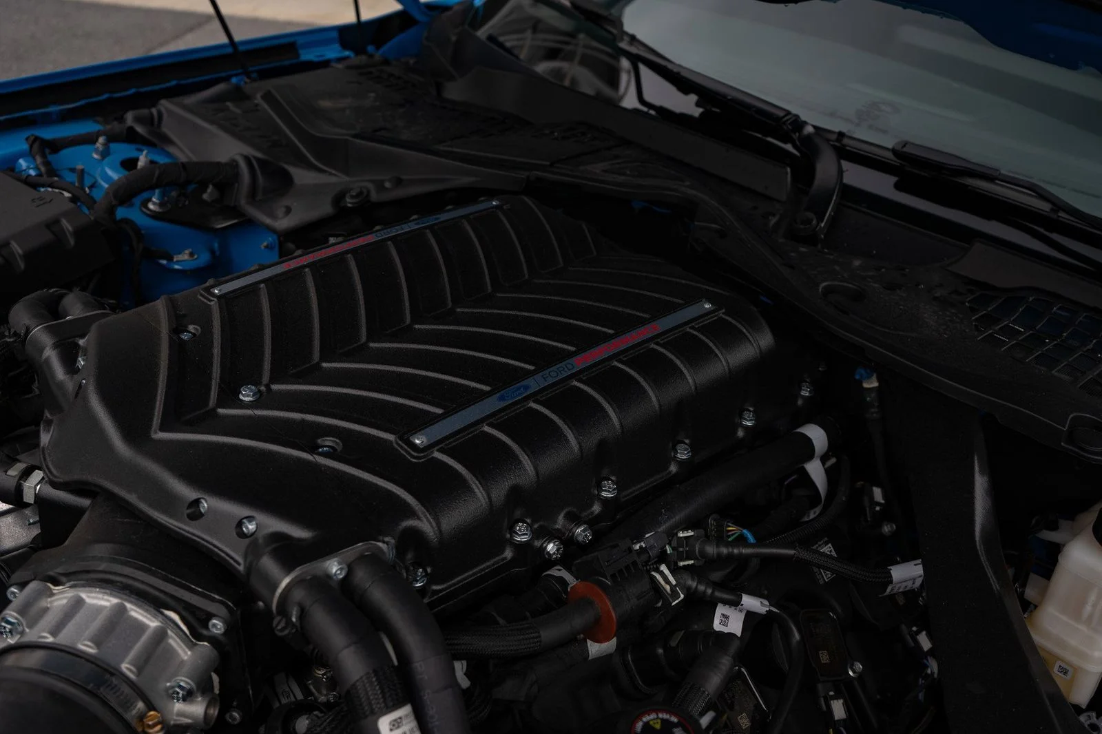 Used 2025 Grabber Blue Ford GT Premium with RTR Spec 3 Package image 13