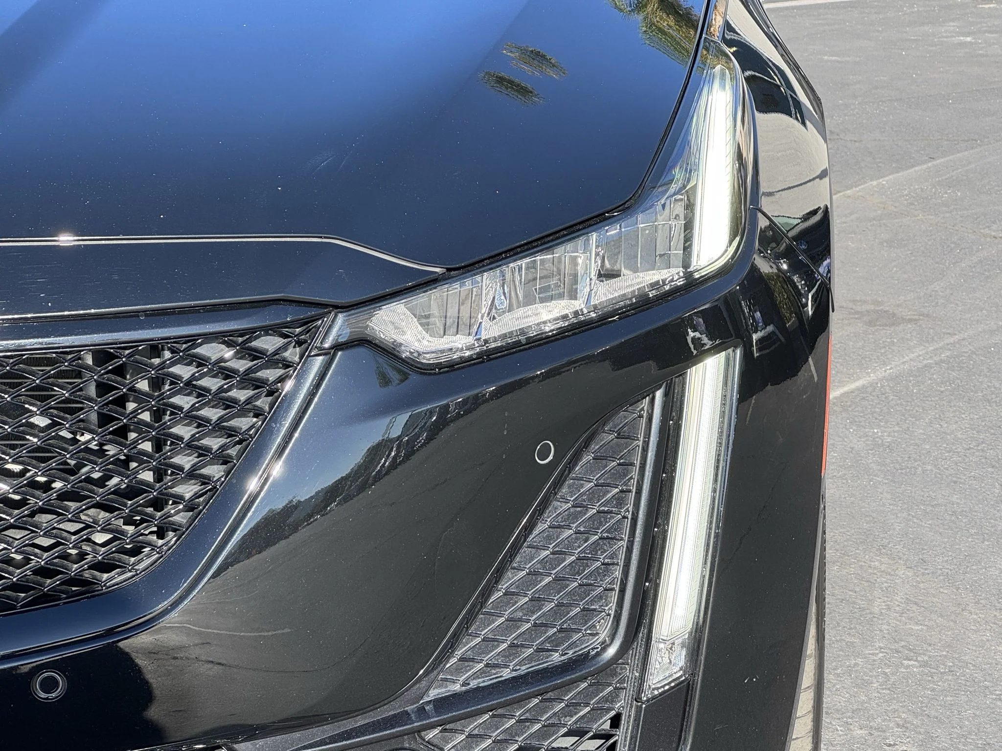 Used 2023 BLACK RAVEN Cadillac V-Series image 4