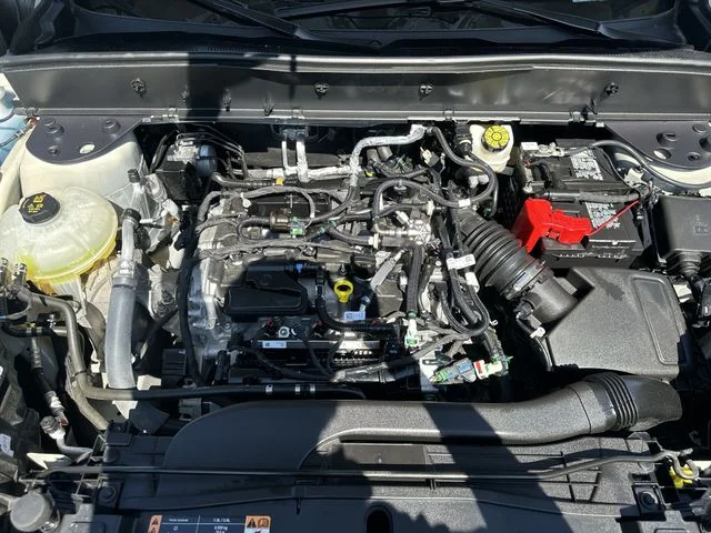 Used 2024 Beige Ford Big Bend image 19