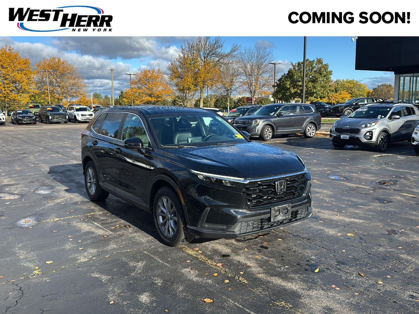 Used 2024 Crystal Black Pearl Honda EX-L image 1
