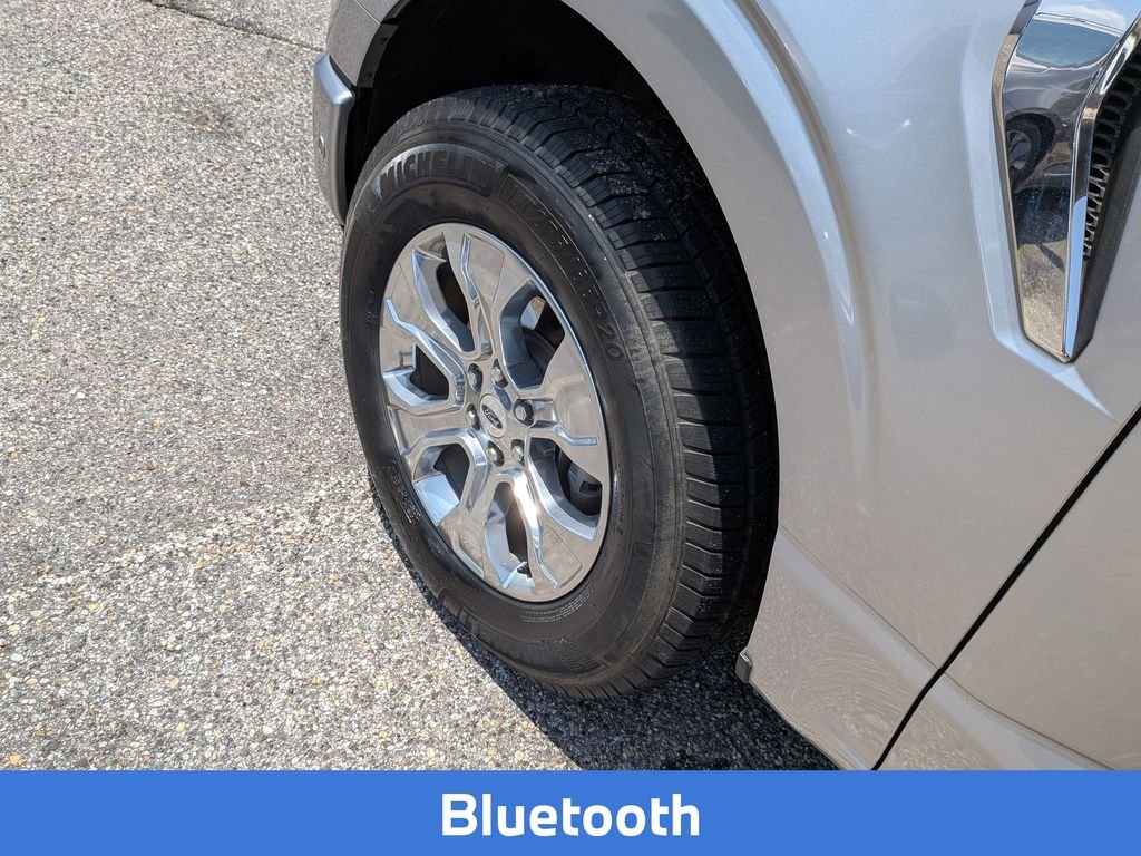 Used 2021 Silver Ford Platinum image 6