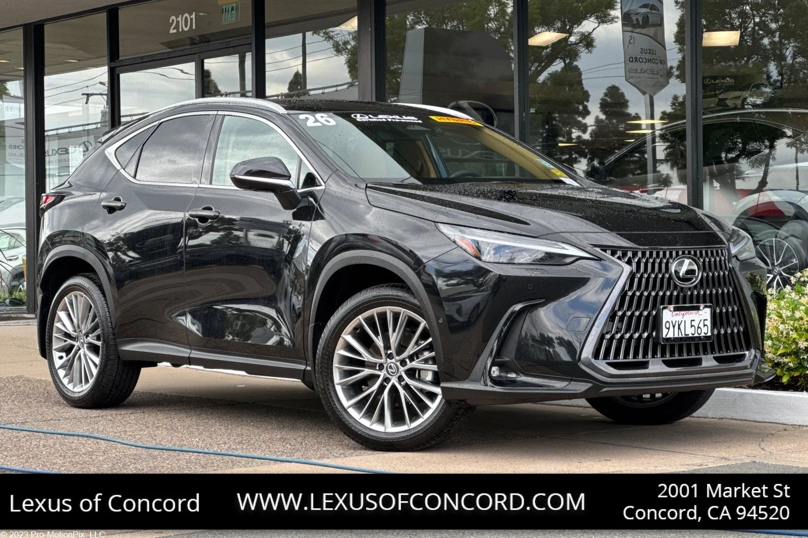 2026 Lexus NX 350h 350h Luxury's photo