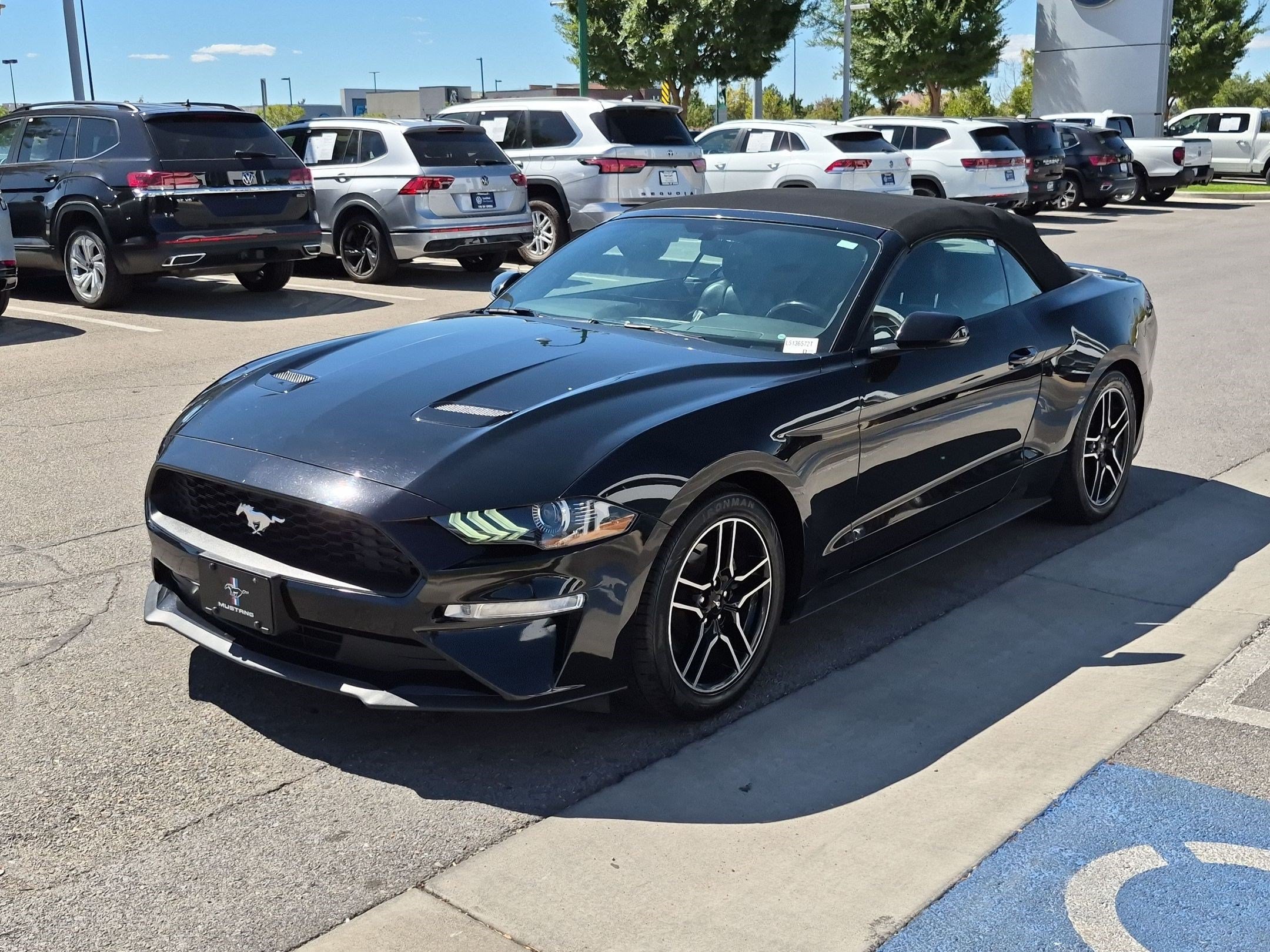Used 2020 Shadow Black Ford EcoBoost Premium image 9