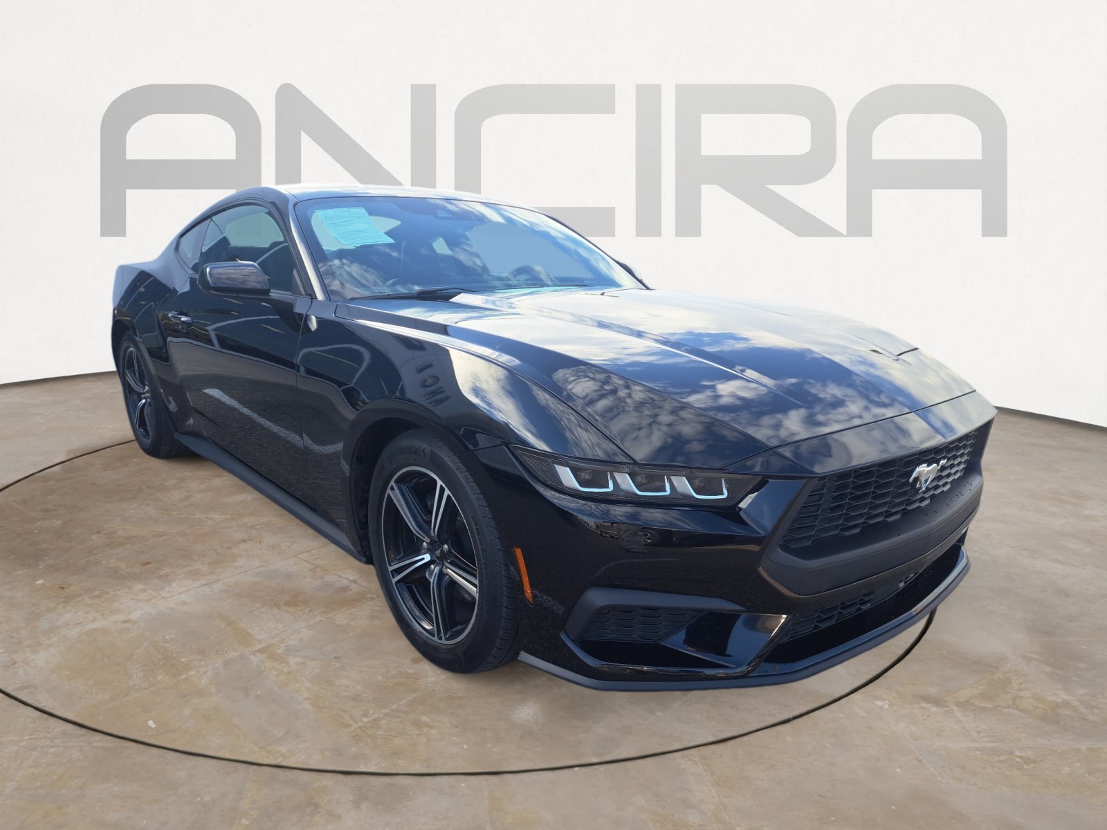 Used 2024 Shadow Black Ford EcoBoost image 6