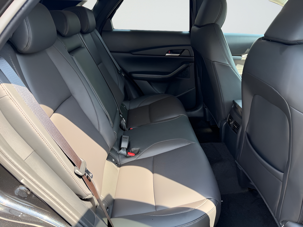 New 2026 Jet Black Mica Mazda 2.5 S Premium image 24
