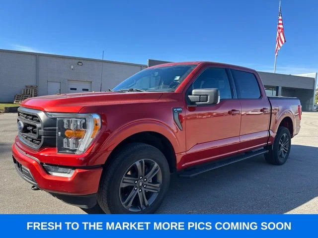 Used 2023 Red Ford XLT image 1
