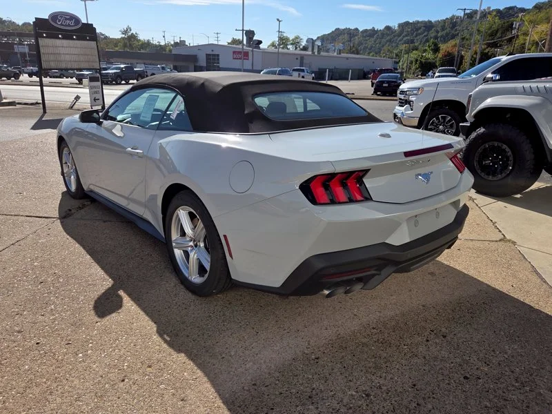 New 2026 Avalanche Gray Ford EcoBoost® Premium Convertible image 5