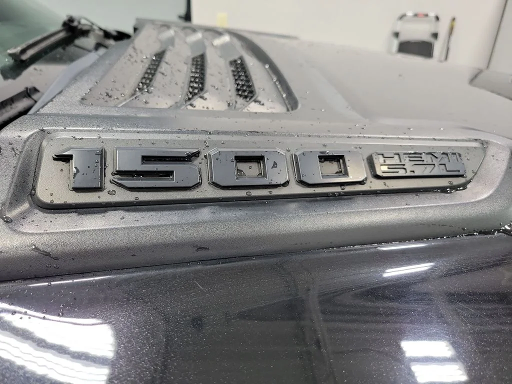 Used 2019 Black Ram Rebel image 28